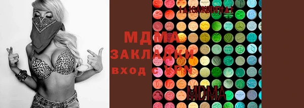 apvp Алзамай