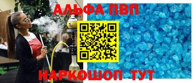 бошки Кингисепп