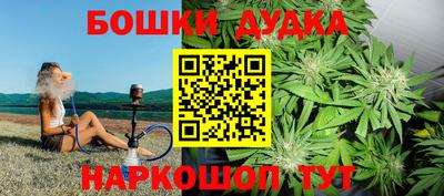 бошки Кингисепп
