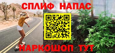 бошки Кингисепп