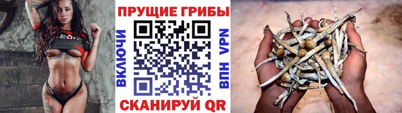 дарнет шоп Глазов Галлюциногенные грибы Magic Shrooms
