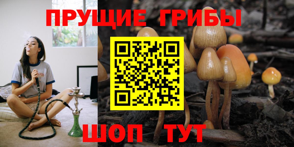 дарнет шоп  Галлюциногенные грибы мухоморы  Глазов  Вход с VPN  Галлюциногенные грибы Magic Shrooms 
